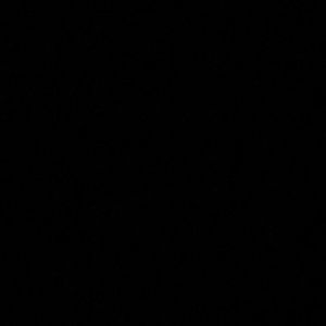 Meet your Posher, Mackenzie